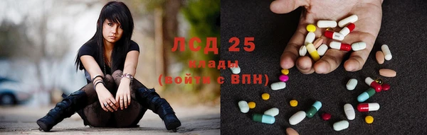 ГАЛЛЮЦИНОГЕННЫЕ ГРИБЫ Каменногорск