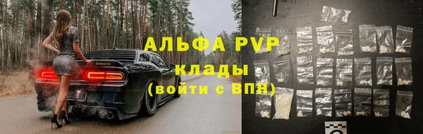 ГАЛЛЮЦИНОГЕННЫЕ ГРИБЫ Каменногорск