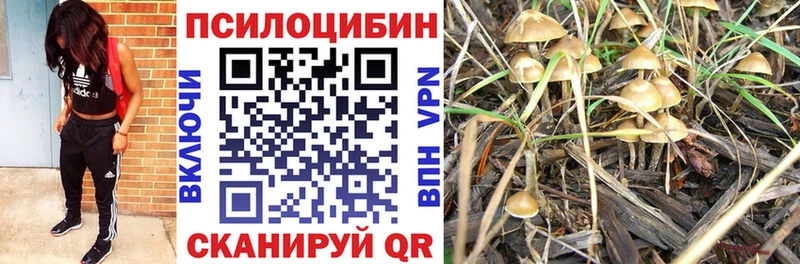 Галлюциногенные грибы Psilocybine cubensis Уржум